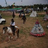 Cannabis in Thailand