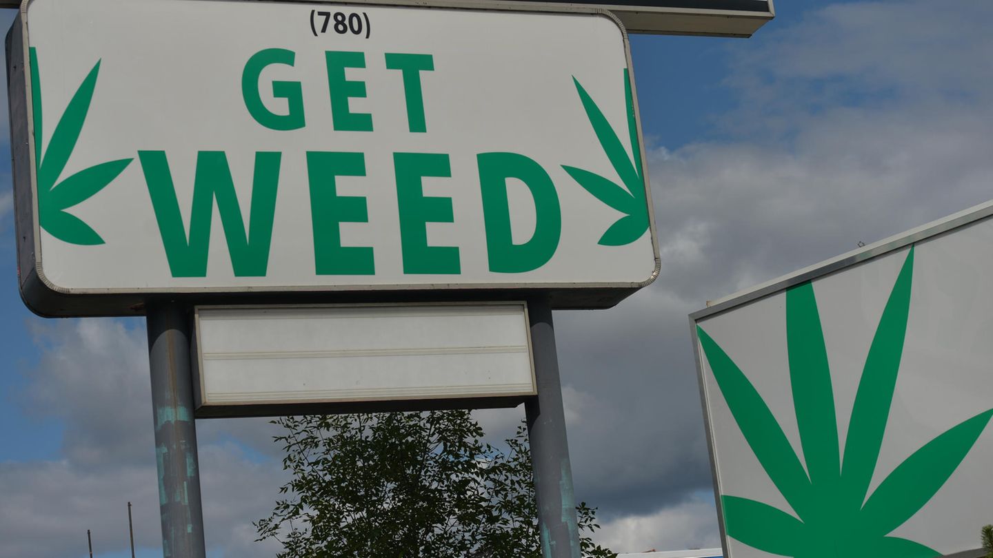 Cannabis in den USA