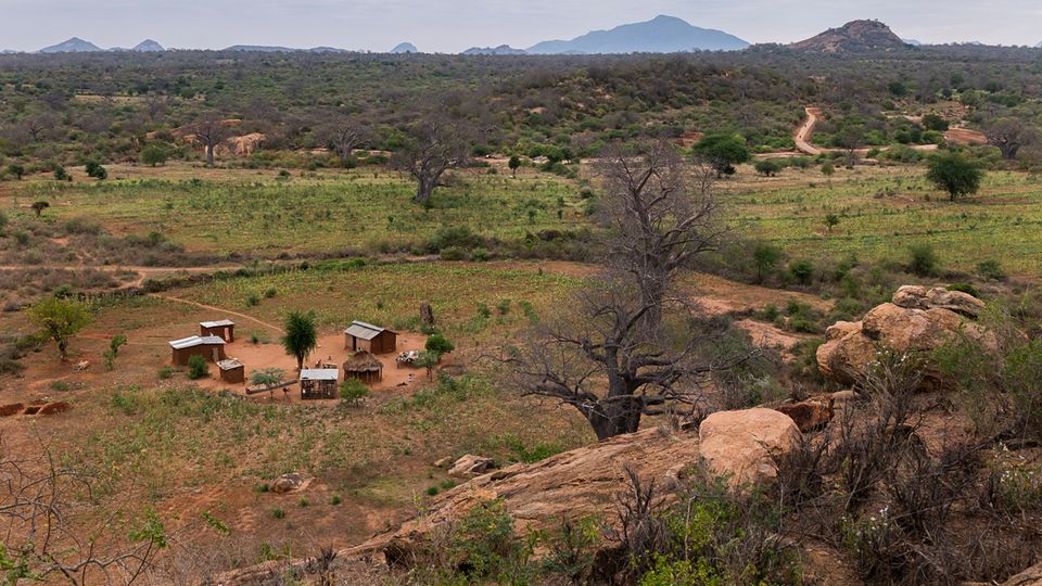 Büsche, Baobabs, viel Weite: Die Hütten und Felder einer Familie in Kinakoni