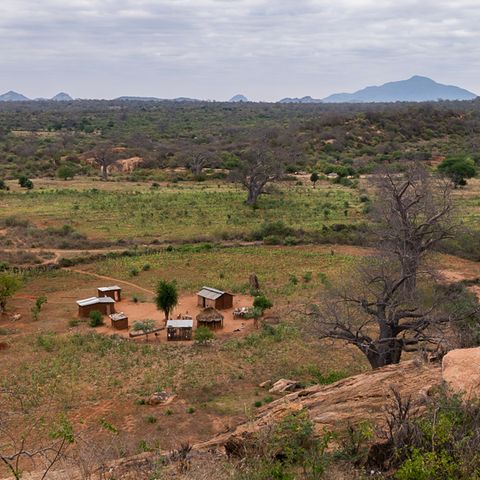 Büsche, Baobabs, viel Weite: Die Hütten und Felder einer Familie in Kinakoni