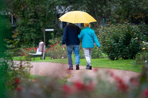 Wetter-Symbolfoto: Ein Paar schlendert mit Regenschirm durchs Rosarium in Uetersen