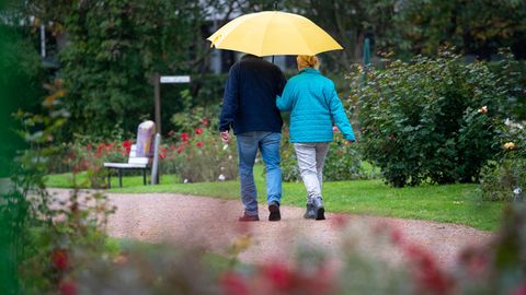 Wetter-Symbolfoto: Ein Paar schlendert mit Regenschirm durchs Rosarium in Uetersen