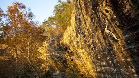 Die Red River Schlucht im Osten Kentuckys ist auch bei Kletterern sehr beliebt (Archivbild)
