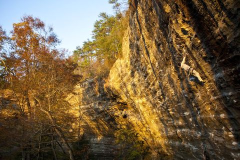 Die Red River Schlucht im Osten Kentuckys ist auch bei Kletterern sehr beliebt (Archivbild)