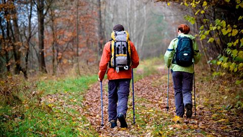 Laufen: Zwei Wanderer auf einem Waldweg