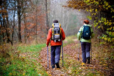Laufen: Zwei Wanderer auf einem Waldweg