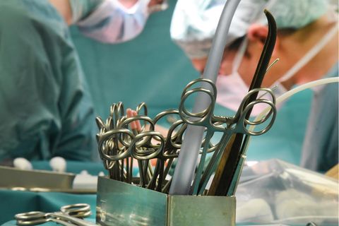 Symbolfoto: Ärzte in den USA haben einem Menschen eine Schweineniere transplantiert