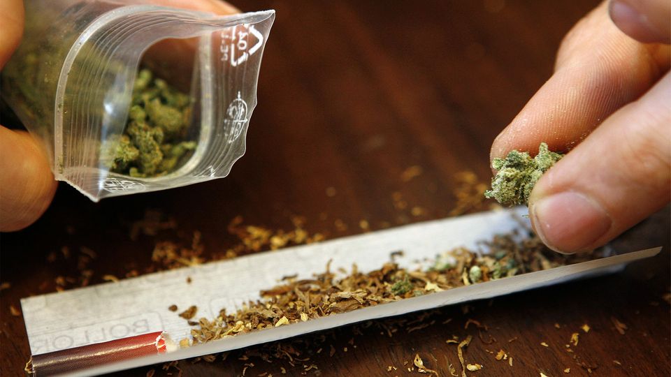 Kein breiter Konsens: Experten streiten um Gras-Legalisierung