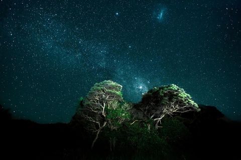 Der Nachthimmel über Neuseeland