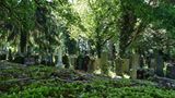 Jüdischer Friedhof Endingen-Lengnau