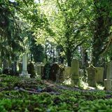 Jüdischer Friedhof Endingen-Lengnau