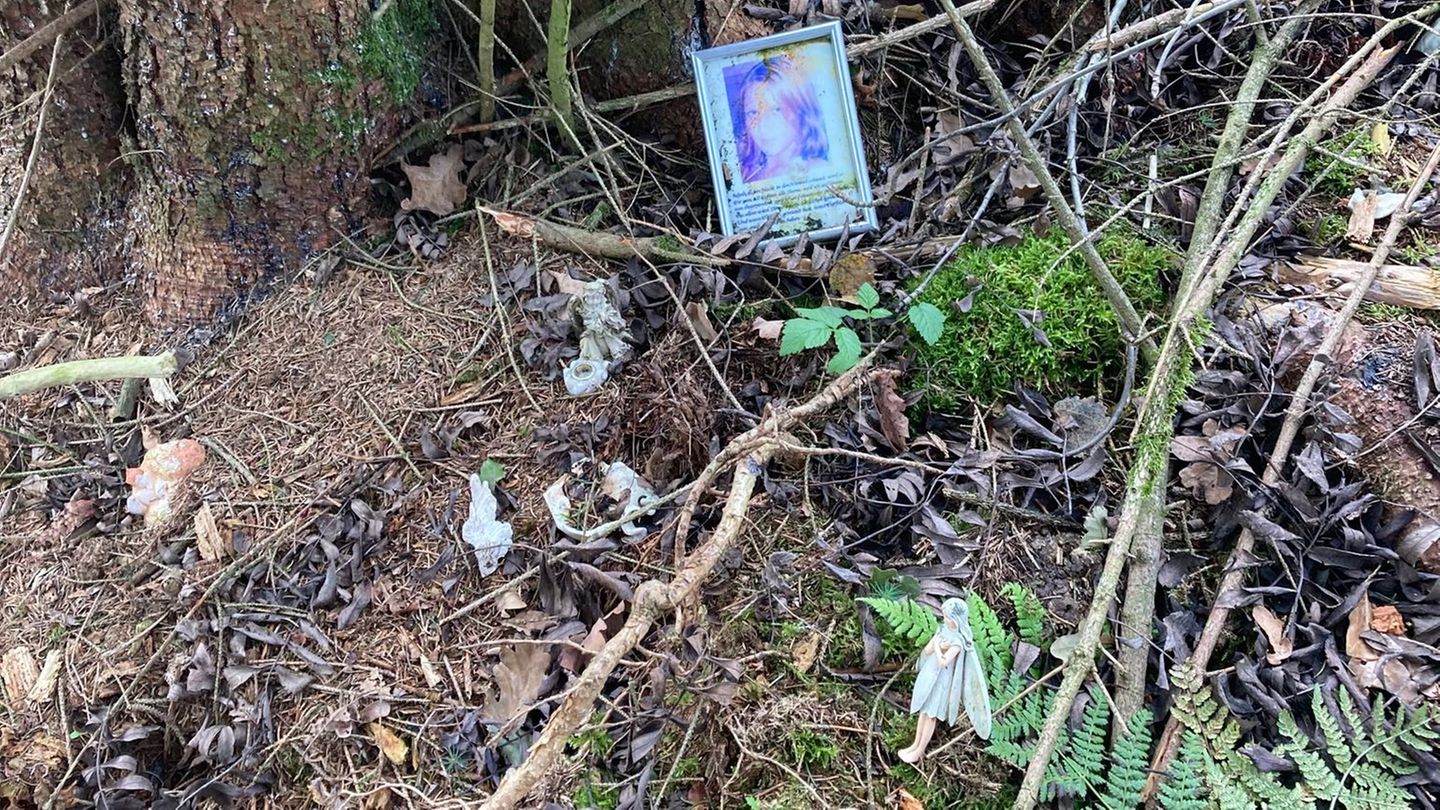 Am Fundort von Fraukes Leiche erinnert ein Foto und kleine Elfenfigur an die junge Frau