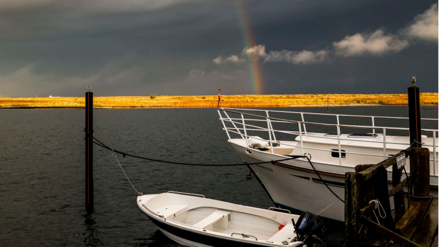 Ein Regenbogen erhebt sich nach starken Regenfällen über einem Acker.