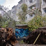 In Berlin hat der Sturm zwei große Pappeln entwurzelt