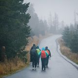 Eine Gruppe Wanderer läuft durch den Regen auf dem Brockenweg