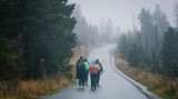Eine Gruppe Wanderer läuft durch den Regen auf dem Brockenweg