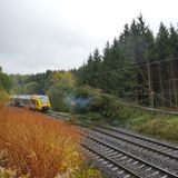 Mehrere Fichten waren auf die Stromleitungen der Bahntrasse gefallen