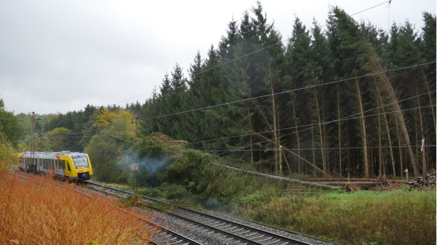 Mehrere Fichten waren auf die Stromleitungen der Bahntrasse gefallen
