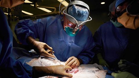 Organtransplantation: Vater spendet seinem dreijährigen Sohn eine Niere – und könnte ihm so das Leben retten