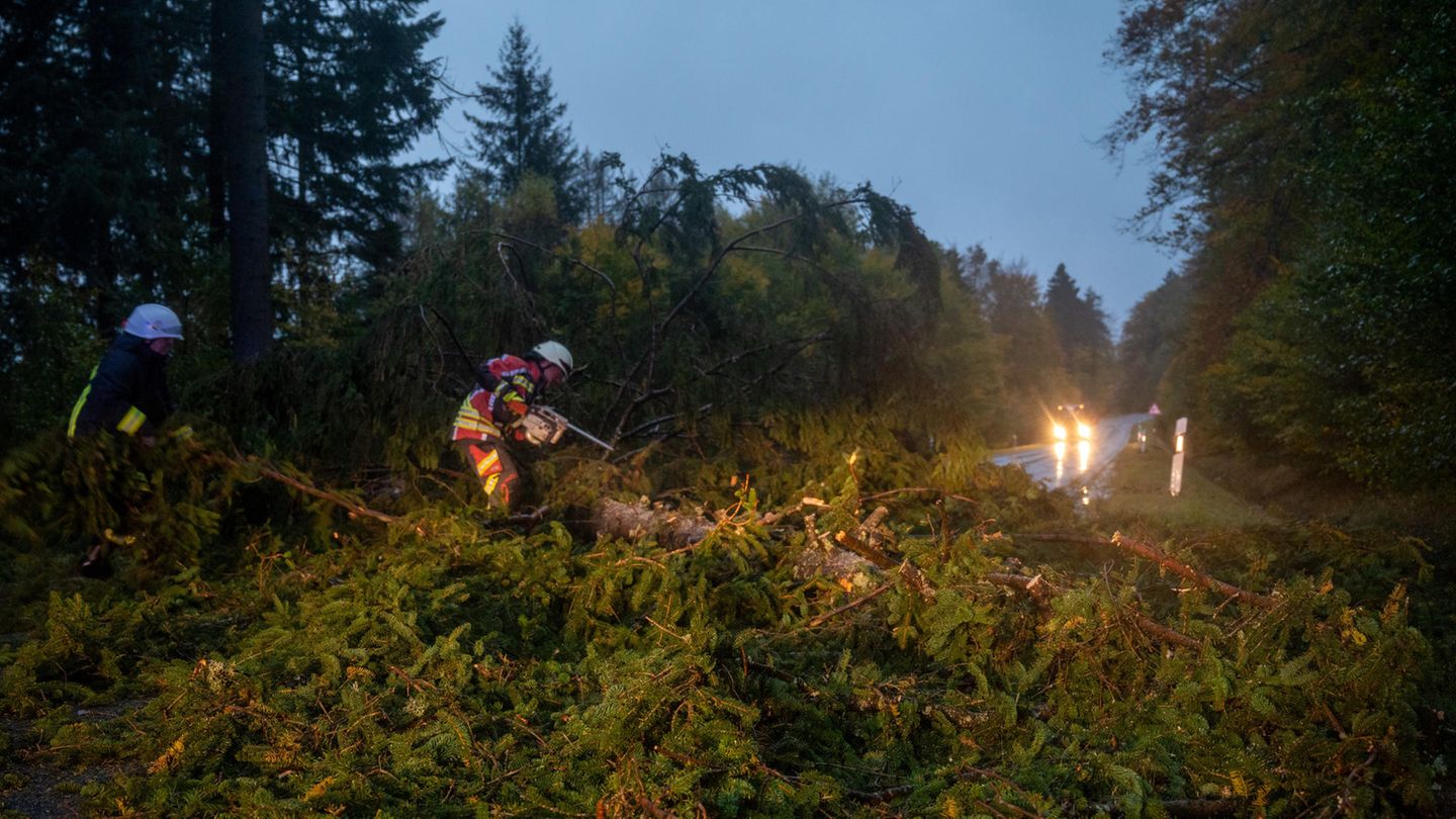Feuerwehrmänner beseitigen eine Straße von einem umgestürzten Baum