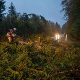 Feuerwehrmänner beseitigen eine Straße von einem umgestürzten Baum