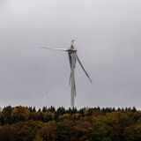 Mit abgerissenen Flügeln ist ein Windrad in einem Waldstück zu sehen