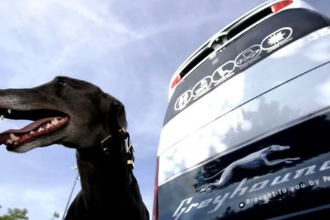 Video: Deutsches Unternehmen Flixbus übernimmt legendäre "Greyhound"-Fernbuslinien