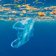 Plastik im Meer