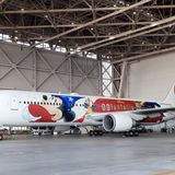 Japan Airlines ist bekannt für viele Sonderbemalungen. Zum 90. Geburtstag von Micky Maus im vergangenen Jahr wurde eine Boeing 767 mit der weltbekannten Figur verziert. Hier ein Foto aus dem Hangar am Haneda Airport  in Tokio.