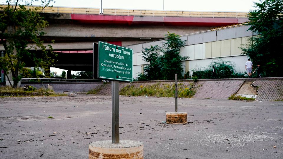 Ludwigshafen Deutschlands hässlichste Stadt bietet spezielle Führungen