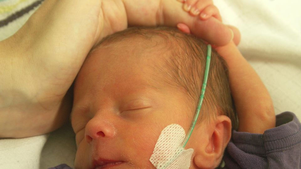 Zwillings-Frühchen: Beruhigend: Mama und Papa sind da. Nach sechs Tagen konnte Paul aus dem Inkubator. Endlich war nun ein wenig mehr Körperkontakt möglich und schon griff er zu. Beruhigend: Mama und Papa sind da. Nach sechs Tagen konnte Paul aus dem Inkubator. Endlich war nun ein wenig mehr Körperkontakt möglich und schon griff er zu.