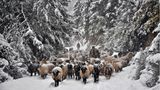 Return to the Village