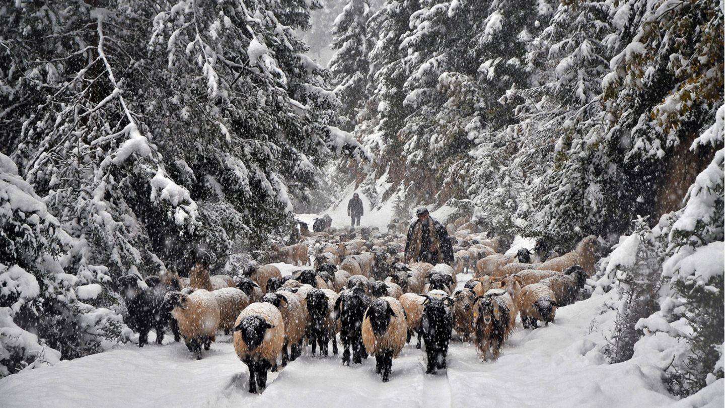 Return to the Village