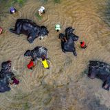 Taking Care With Love