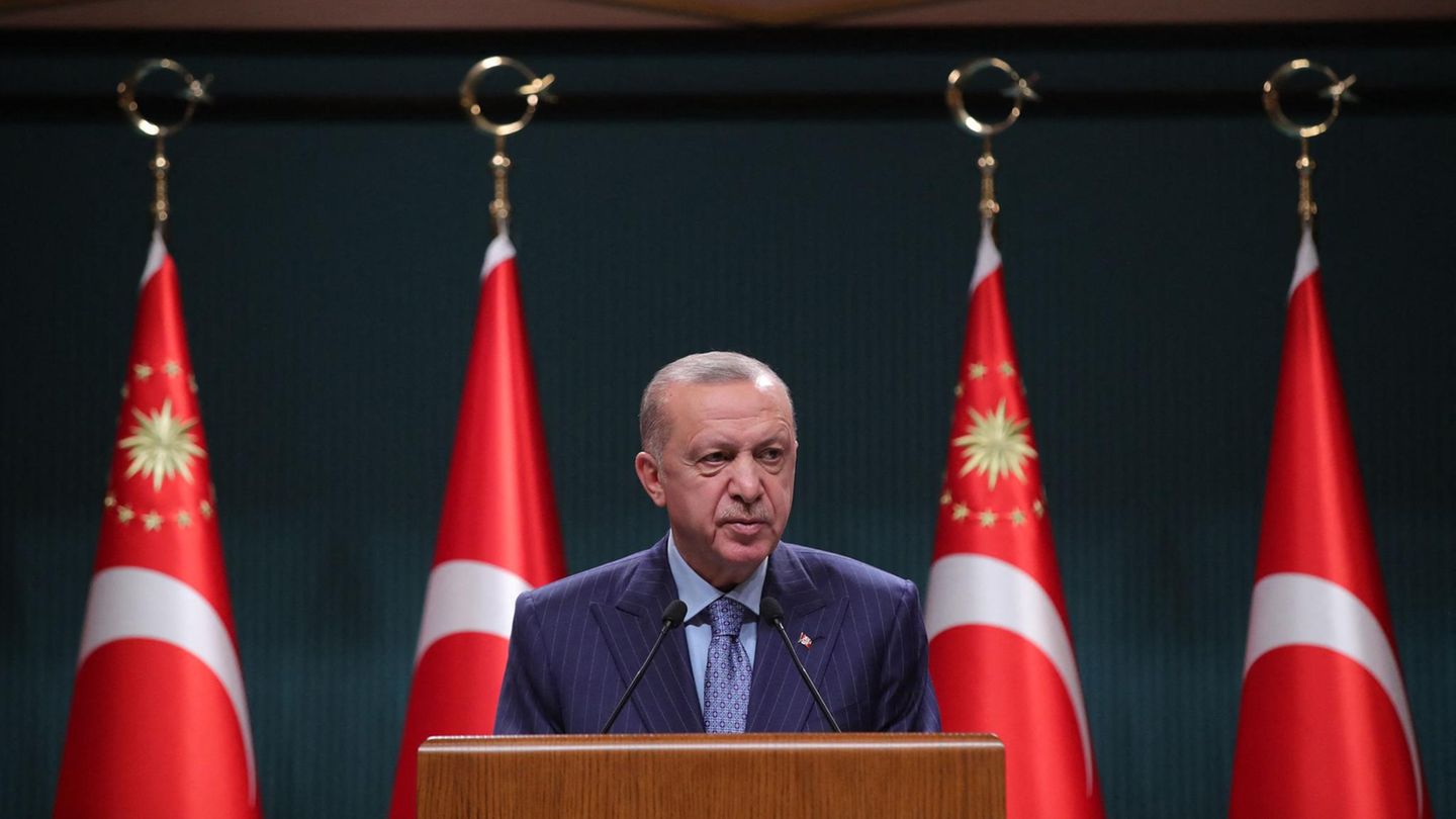 Turkey: Erdogan does not want to expel Western diplomats