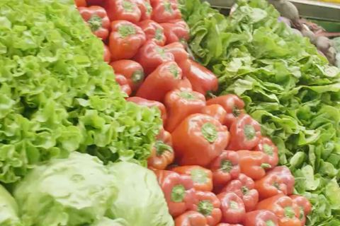 Ein reich gefüllltes Gemüseregal mit Salat, Paparik und vielem mehr.