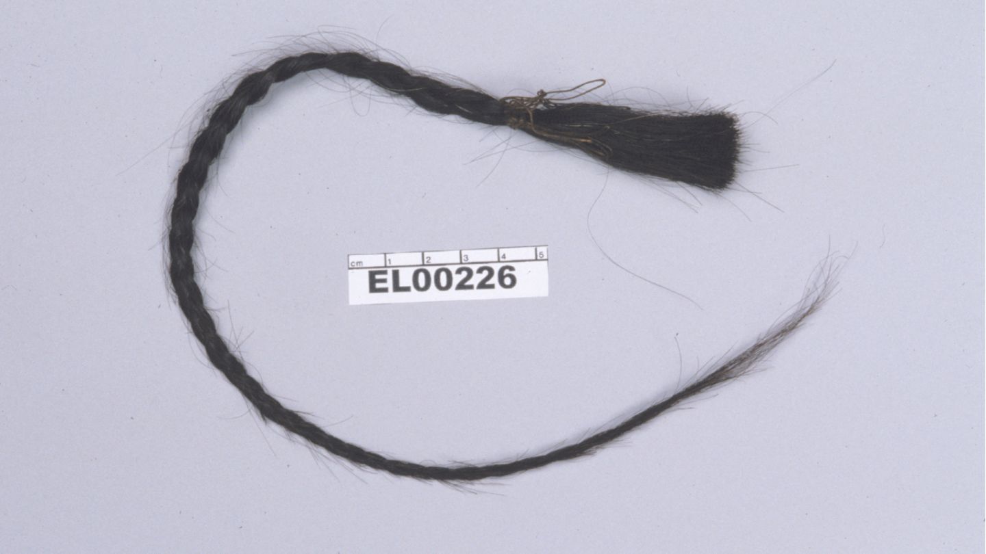 Die Wissenschaftler untersuchten die autosomale DNA aus einem Zopf des Häuptlings Sitting Bull und entwickelten dann eine Berechnungsmethode, um sie mit der DNA des Nachfahren zu vergleichen