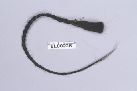 Die Wissenschaftler untersuchten die autosomale DNA aus einem Zopf des Häuptlings Sitting Bull und entwickelten dann eine Berechnungsmethode, um sie mit der DNA des Nachfahren zu vergleichen