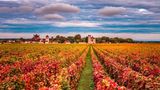 Burgund, Frankreich
