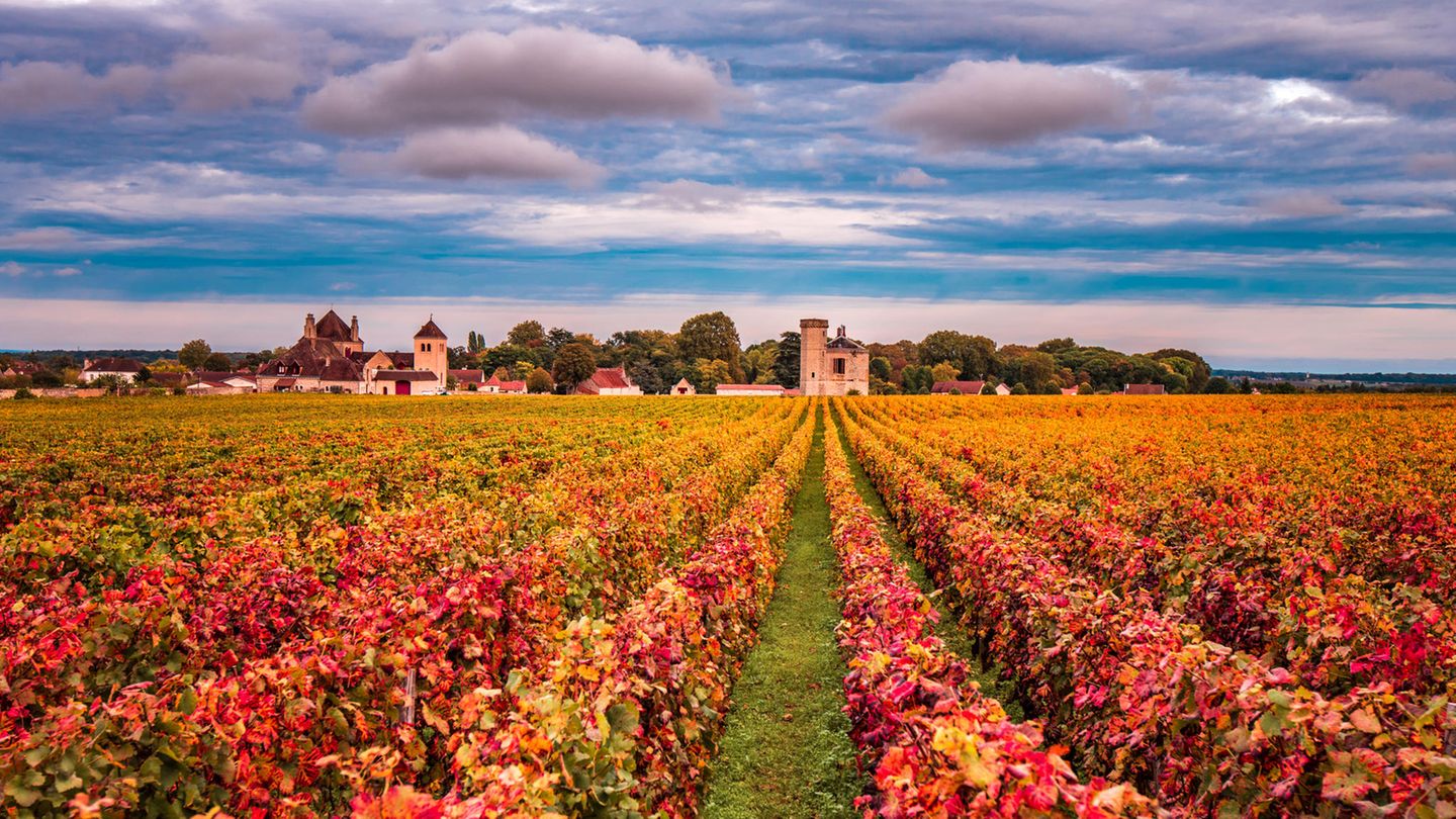 Burgund, Frankreich