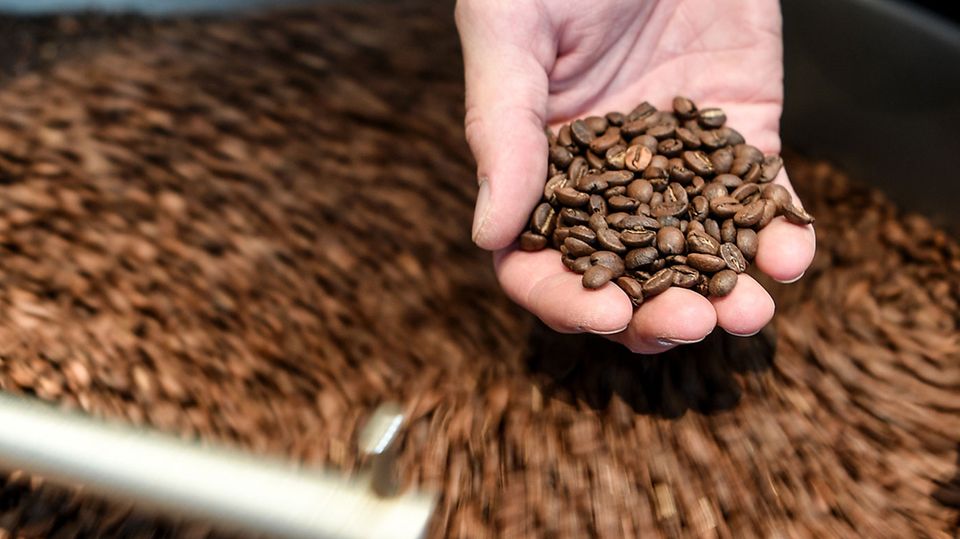 Ökotest deckt Kaffee-Schwindel auf – fast die Hälfte „mangelhaft“. Eine Hand hält Kaffeebohnen ins Bild.