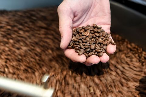 Eine Hand hält Kaffeebohnen ins Bild.