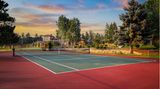 ...ein Tennis- und Picklebalplatz...