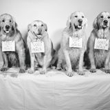 Bildband Bruce Weber