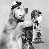 Bildband Bruce Weber