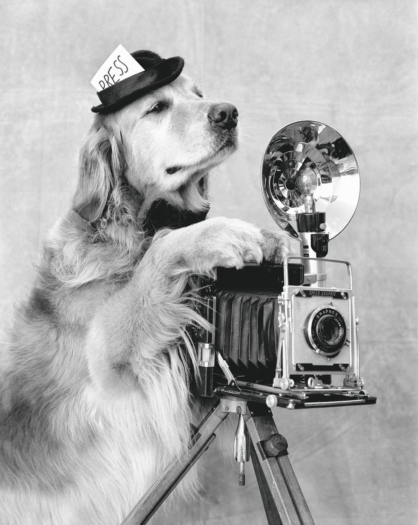 Bildband Bruce Weber