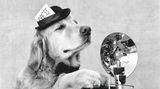 Bildband Bruce Weber