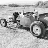 Bildband Bruce Weber