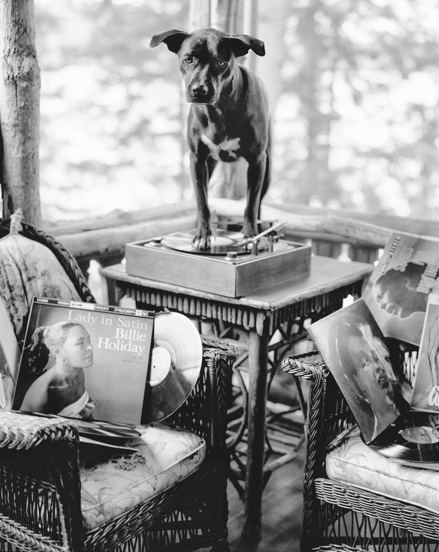 Bildband Bruce Weber Bildband Bruce Weber