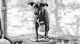 Bildband Bruce Weber